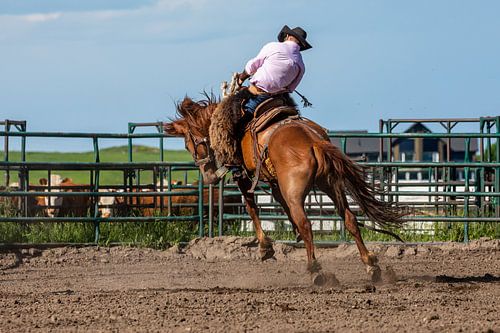Rodeo in het Wilde Westen