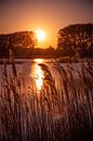 Coucher de soleil sur le Dordtse Biesbosch par Petra Brouwer Aperçu