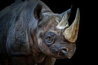 NASHORN