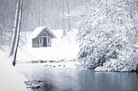 Dutch landscape covered in snow by Original Mostert Photography thumbnail