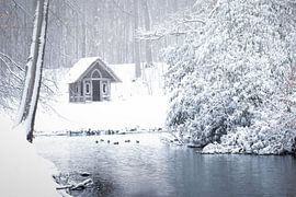 Nederlands landschap bedekt onder de sneeuw van Original Mostert Photography