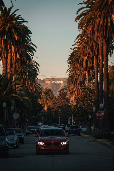 Los Angeles by Hello Pompoyo
