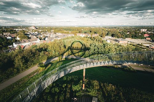 Schaduw op de tijger & Schildpad