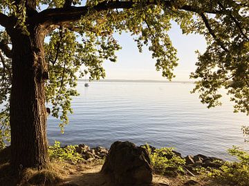 Bel endroit au bord du lac sur Sara-Lena Möllenkamp