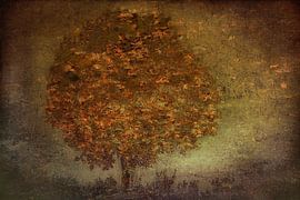 Autumn Tree by Nel Talen