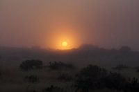 Sunrise in the early morning