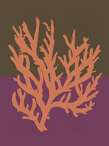 pastel Coral No 02
