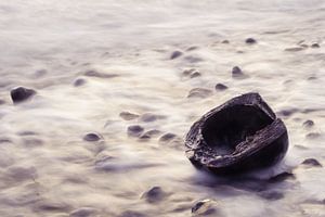 Noix de coco dans le surf