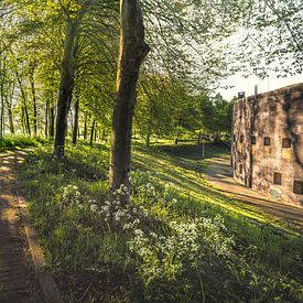 Fort Honswijk van rosstek ®