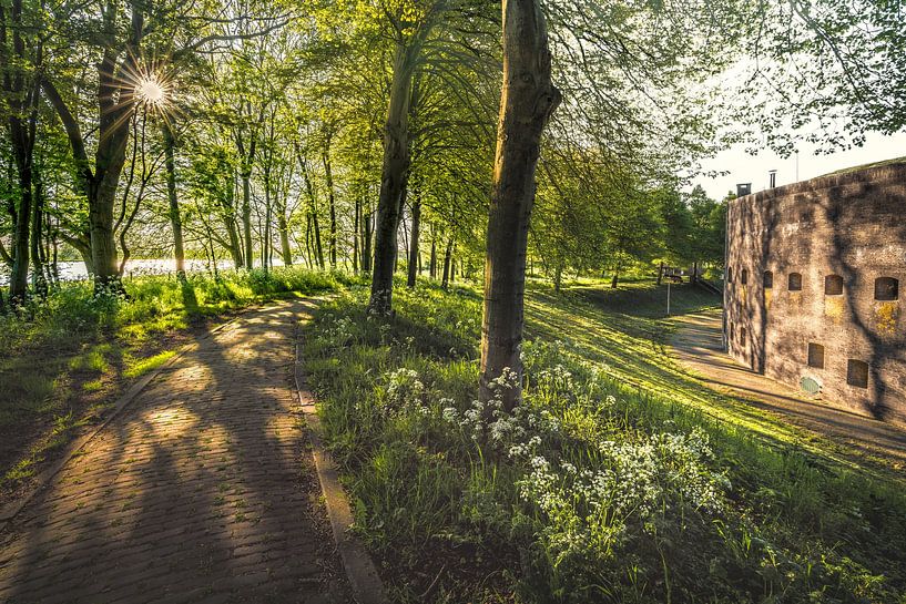 Fort Honswijk von rosstek ®