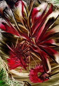 Mindful Colors 21