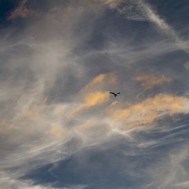 zeelucht met vogel silhouette - 2 van Arnoud Kunst