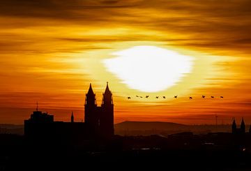 Cathédrale de Magdebourg sur MiNeun-Fotografie