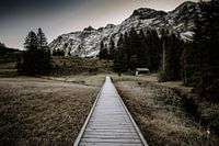 Alpine Path