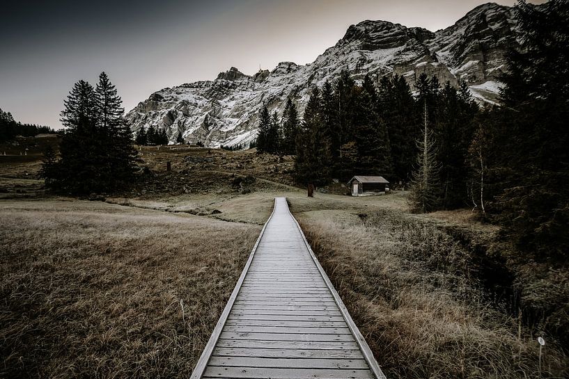 Alpine Path by Manuel Gratl