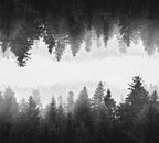 Zwart-witte mistig gespiegeld bos van Patrik Lovrin thumbnail