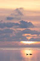 Staande foto van zonsopkomst boven het wad