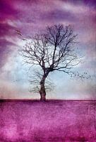 ATMOSPHERIC TREE
