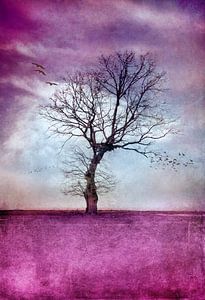 ARBRE ATMOSPHÉRIQUE