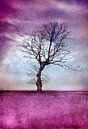 ATMOSPHERIC TREE von INA FineArt Miniaturansicht