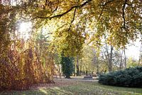 Bunt gefärbter Kurpark von Bad Neustadt im Herbst