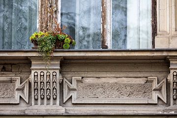 De gevel met raam in Boedapest van Roland Brack