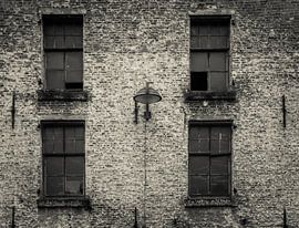 warehouse windows by mario vanparys