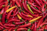 Hot Peppers