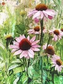 Sonnenhutblumen in voller Blüte aus unserem eigenen Garten von Studio Mirabelle