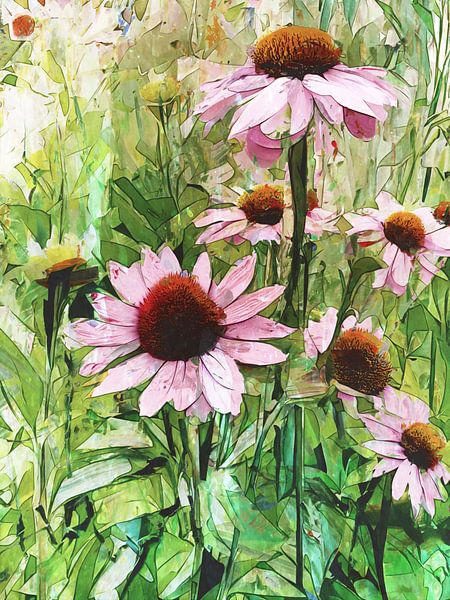 Zonnehoed bloemen in volle bloei uit eigen tuin II