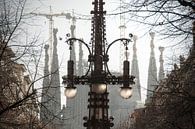 Sagrada Familia - Av. de Gaudi van Maurice Moeliker thumbnail