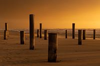 Palendorp of Petten