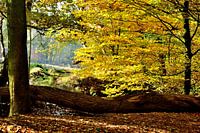 Herbst