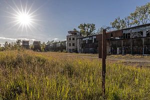 Grelle Sonne über historischem Flugplatz - Lost Place Alter Flugplatz Rangsdorf