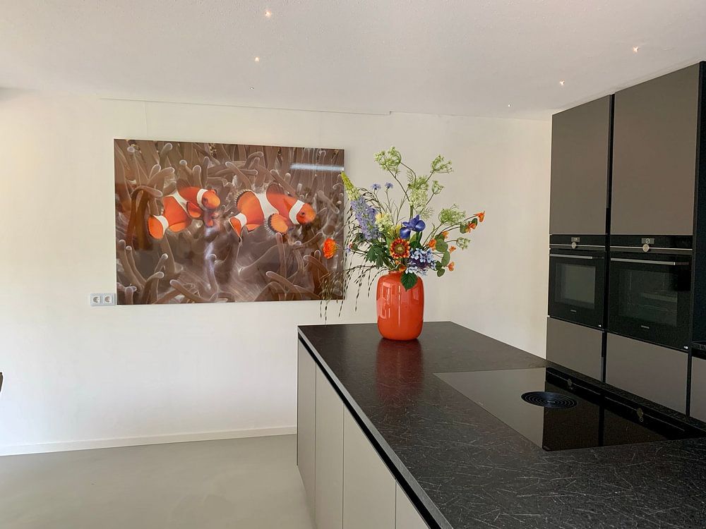 2 clownfish  by Jos Pannekoek 