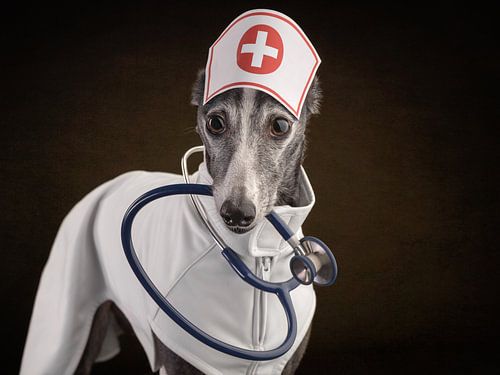 Nurse Zoë
