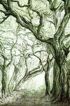 De oude wijzen van het bos van Anita Snik-Broeken
