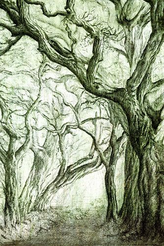 De oude wijzen van het bos