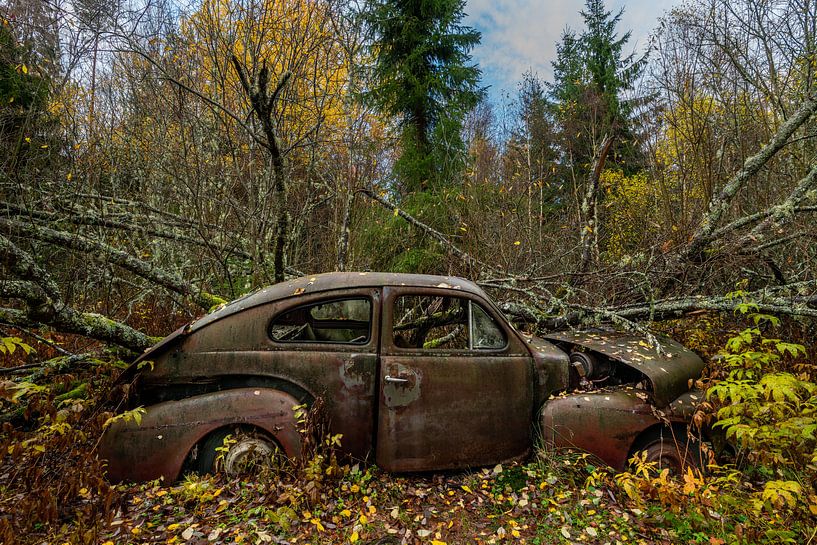 The beauty of decay XII by Gerry van Roosmalen