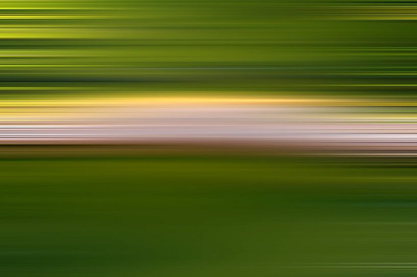 Abstract Nature von Stefan Dinse