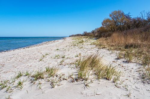 Strand aan de kust van de Oostzee op het eiland Poel