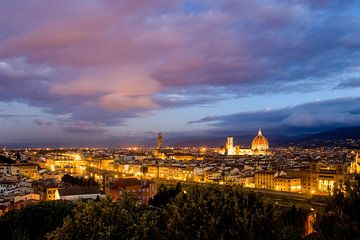 Blick auf Florenz von Rob van Esch