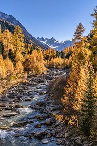 Goldener Herbst in der Schweiz