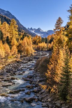 Gouden herfst in Zwitserland van Achim Thomae