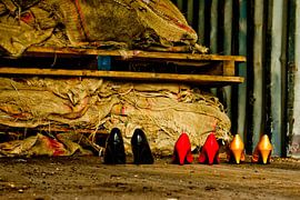 Germany colors (black, red and gold) by Norbert Sülzner