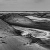 Jonge duinen in De Hors op Texel van Ron Poot