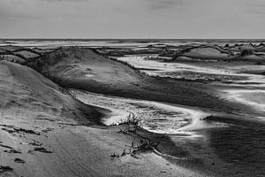 Jonge duinen in De Hors op Texel van Ron Poot