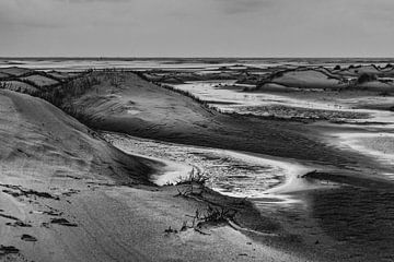 Jeunes dunes dans De Hors sur Texel sur Ron Poot
