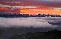 The Mountain Gods