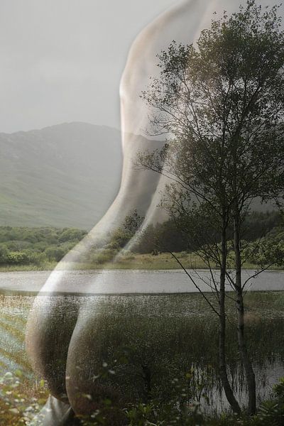 einer in der Landschaft von Cor Heijnen